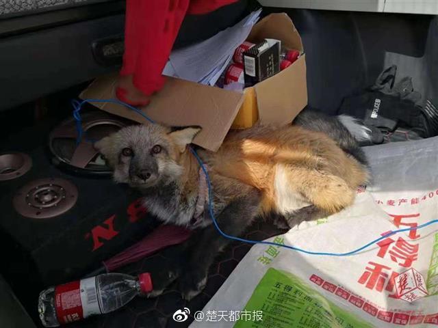 尼尔伪装者轮回的世界怎么刷钱