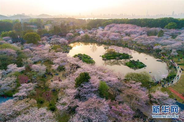 [在线博彩平台]