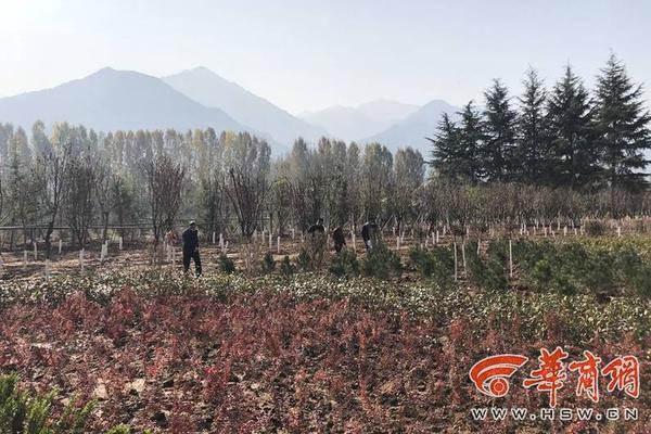 僵尸毁灭工程用燃烧瓶烧僵尸需要注意什么