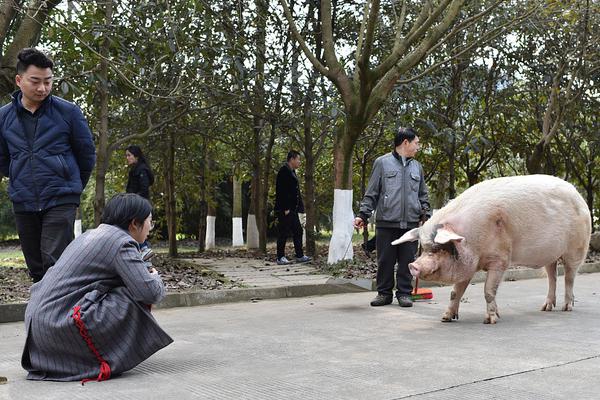 [在线博彩平台]
