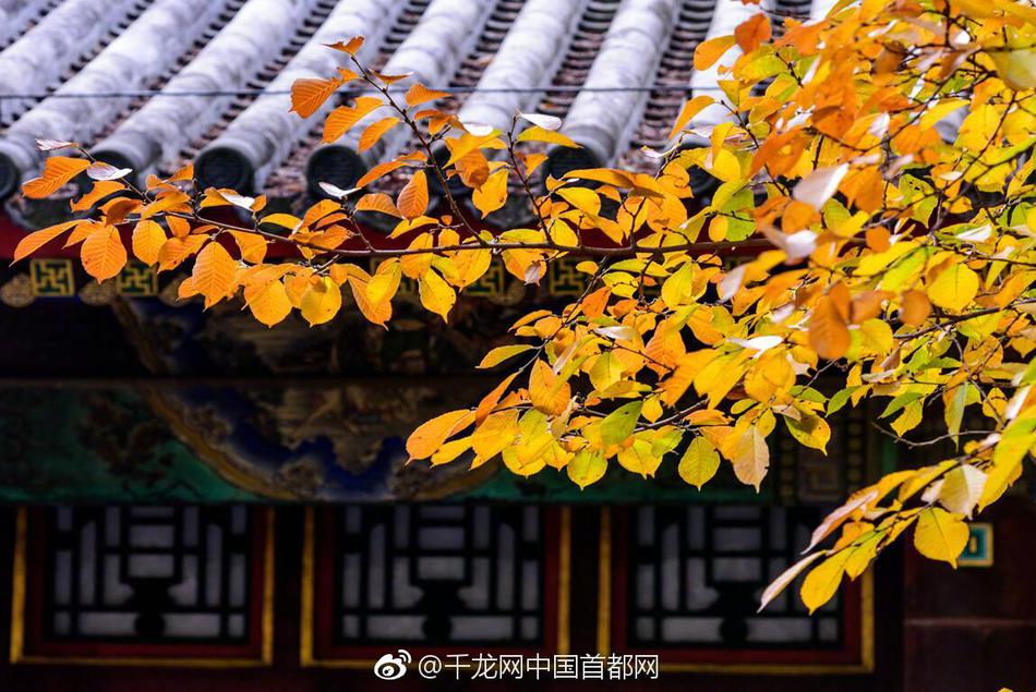 雷霆一号移动需要注意什么