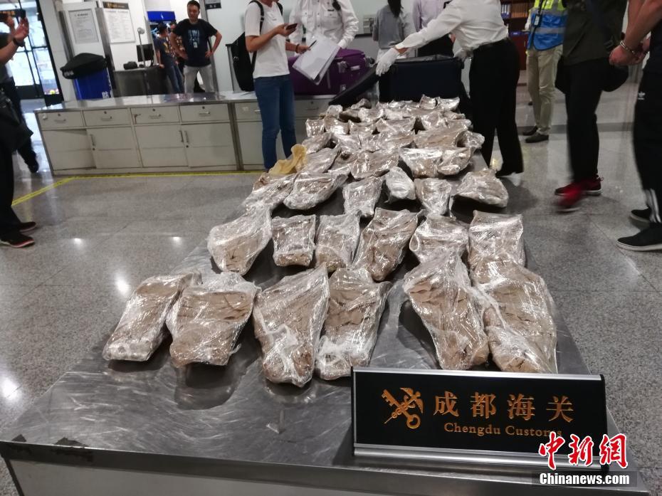 花之灵牛仔竞技比赛成就怎么做